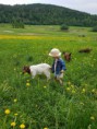 /album/fotogalleri/received-10156155250496005-jpeg/
