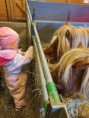 /album/fotogalleri/a20190925-104343-jpg/